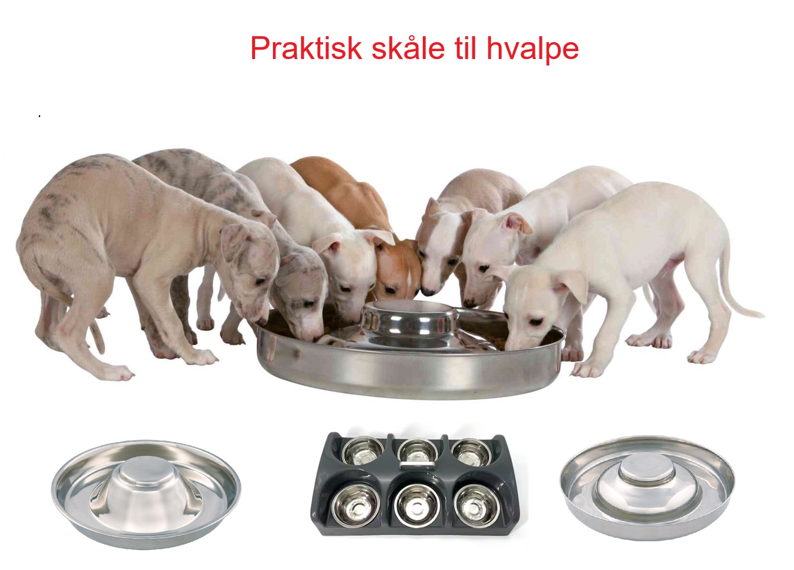 Hvalpeskåle/Bar Hvalpeskåle/Bar