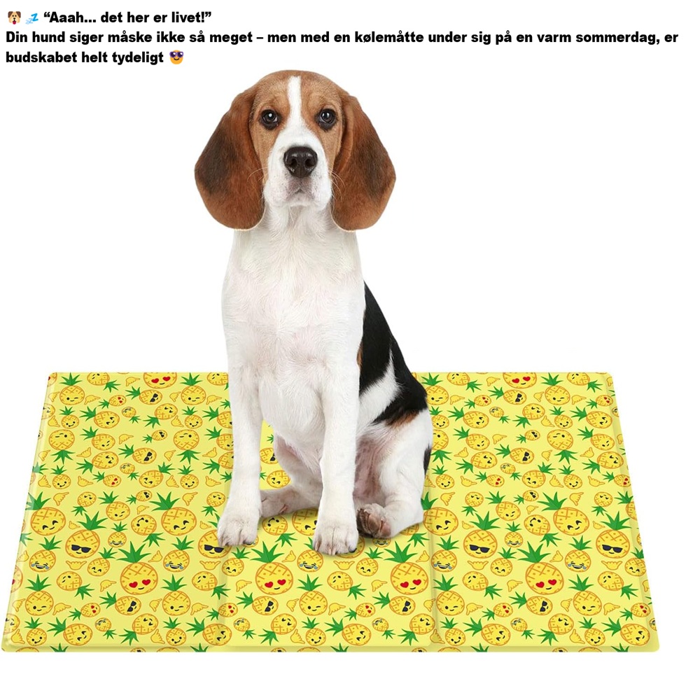 Kølemåtter til hunde Kølemåtter til hunde