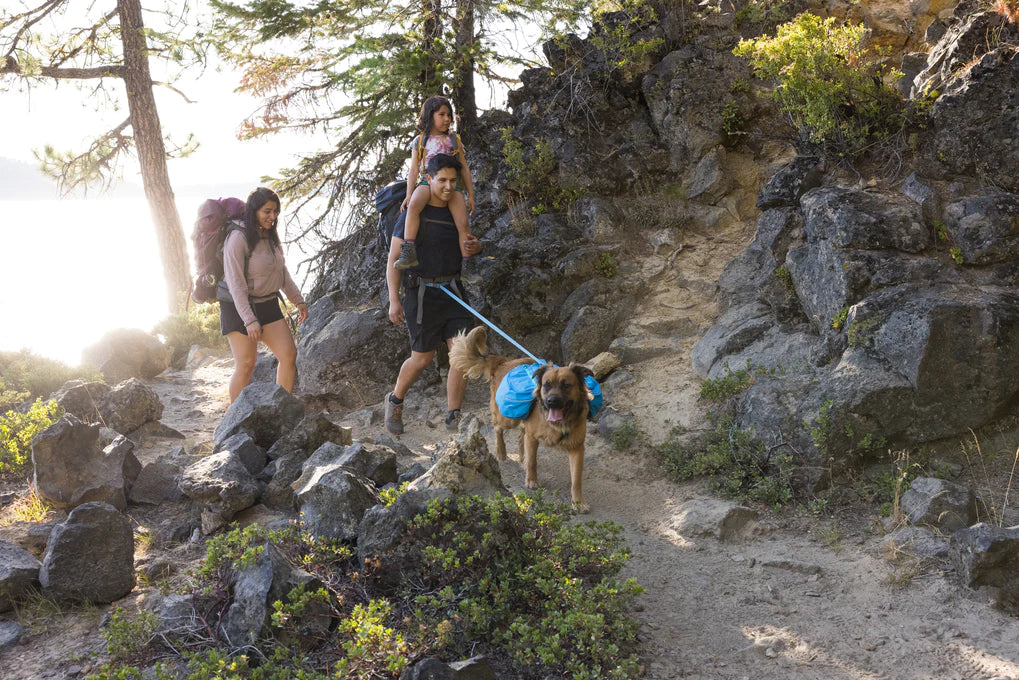 Hundeudstyr til Hiking - Vandretur