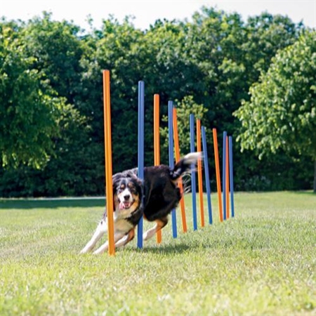 Træningsudstyr hunde | Udstyr alle slags træninger